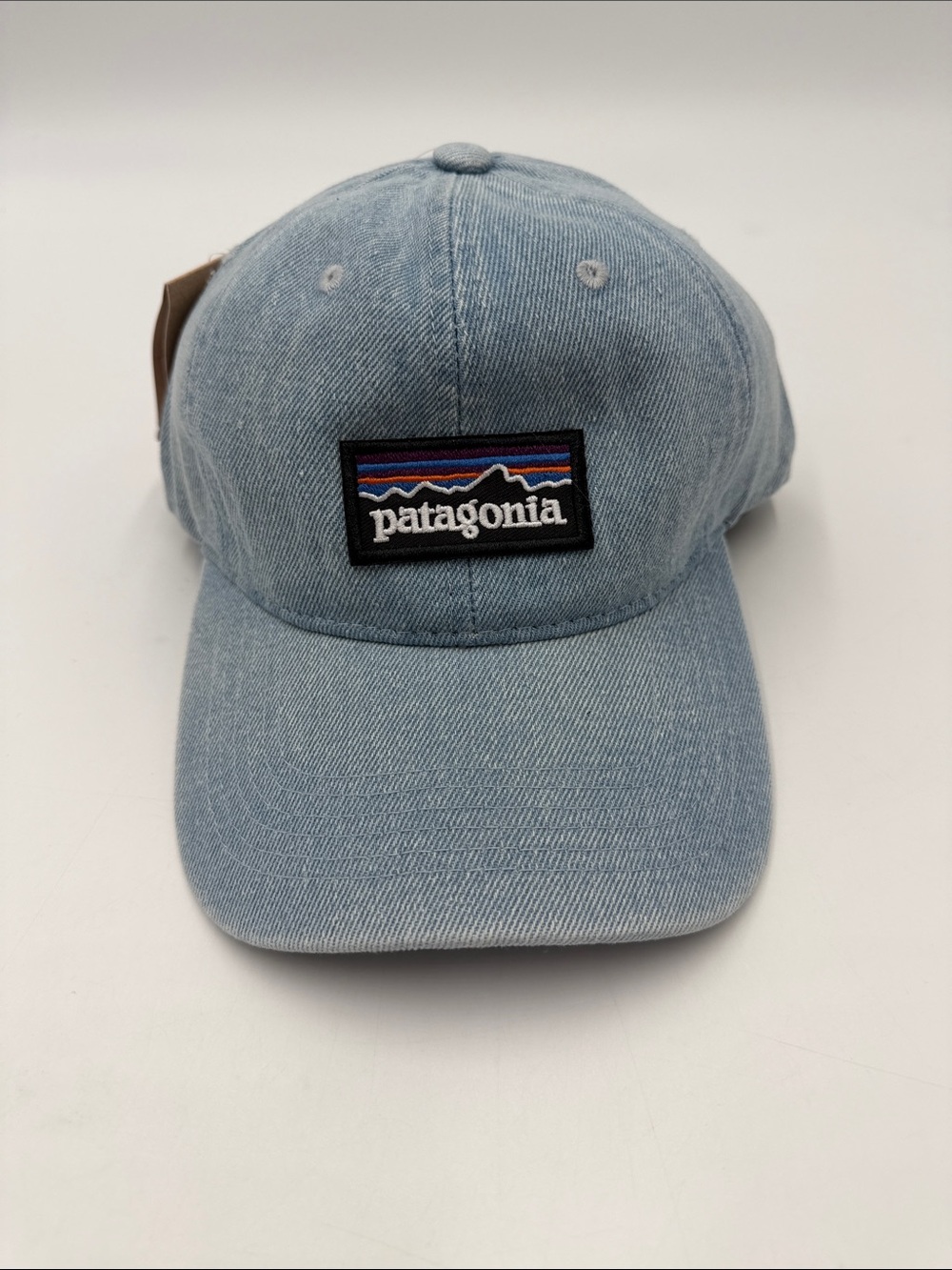 Patagonia Light Blue Denim Baseball Hat